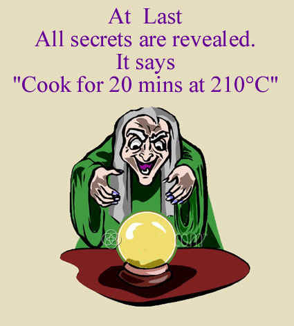 Cartoon of Gypsy looking into crystal ball to reveal cooking instructions